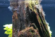 Screenshot 2022-11-23 at 6.59.58 PM.png