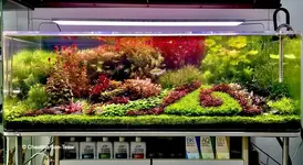 Photo-02-The Garden-Full Tank-Front.webp