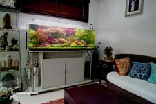 Photo-05-The Garden-Full Tank-room.webp
