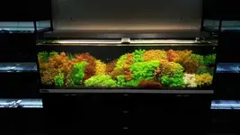 20190803_122959.webp 20190803_122959.webp