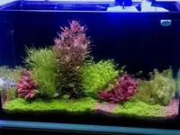 IMG_2590.webp IMG_2590.webp