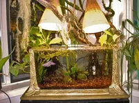 260EA28C-2FEE-46C4-A184-0FCC478AE658.webp 260EA28C-2FEE-46C4-A184-0FCC478AE658.webp