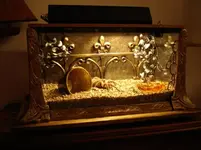 1717CDE4-48C1-49E5-9480-3C89D517692E.webp 1717CDE4-48C1-49E5-9480-3C89D517692E.webp