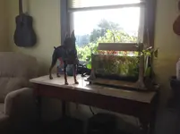 BB9B0595-1EC3-41C1-B431-151609A2F84C.webp BB9B0595-1EC3-41C1-B431-151609A2F84C.webp