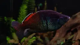 20230305_193221.webp