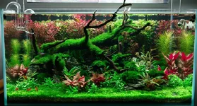 1759272971972.webp 1759272971972.webp