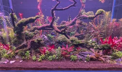 3620 Reset-1.webp 3620 Reset-1.webp