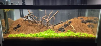 20241216_204503.webp 20241216_204503.webp