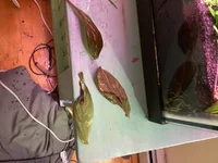 image.webp image.webp