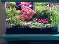 IMG_3841.webp IMG_3841.webp