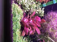 IMG_3844.webp IMG_3844.webp