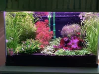 IMG_3849.webp IMG_3849.webp