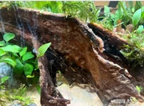 Screen Shot 2025-10-05 at 10.09.48 am.webp