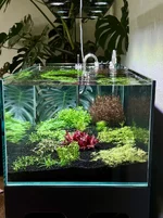 IMG_3218.webp IMG_3218.webp