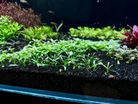 IMG_3228.webp IMG_3228.webp