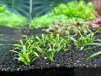 IMG_3227.webp IMG_3227.webp