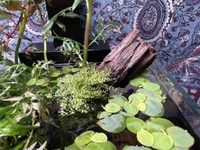 IMG_0446.webp IMG_0446.webp