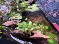 IMG_0448.webp IMG_0448.webp