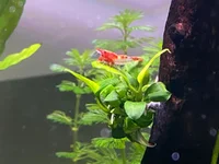 WhatsApp Image 2025-10-06 at 10.08.02 (2).webp WhatsApp Image 2025-10-06 at 10.08.02 (2).webp