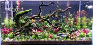 3620 Reset 10-6.webp 3620 Reset 10-6.webp