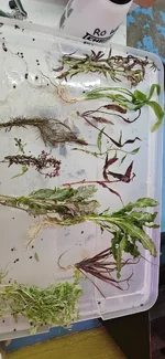 1000009303.webp 1000009303.webp