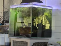 20251011_151525.webp 20251011_151525.webp