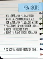 1000036683.webp 1000036683.webp