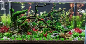 WB3620 10_15_25.webp WB3620 10_15_25.webp