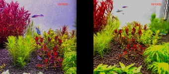 Screenshot 2025-10-18 at 8.28.31 PM.webp