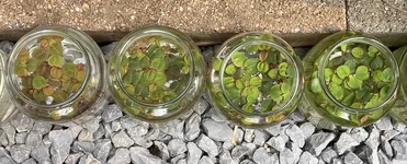 1761241424656.webp 1761241424656.webp