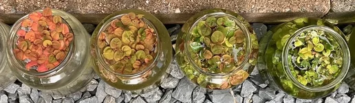 1761241513372.webp 1761241513372.webp