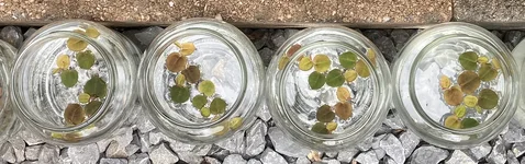 IMG_4875 - start test.webp