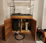 20250729_212947.webp 20250729_212947.webp