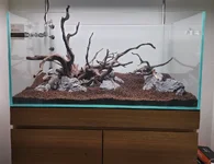 20250810_114148 (1).webp 20250810_114148 (1).webp