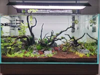 20250915_135745 (1).webp 20250915_135745 (1).webp