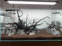 IMG_0072.webp IMG_0072.webp