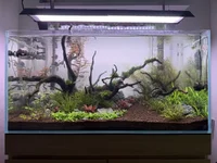 IMG_0501 (1).webp IMG_0501 (1).webp