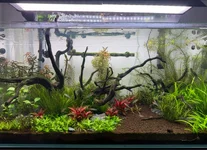 Screenshot 2025-11-01 093947.webp Screenshot 2025-11-01 093947.webp