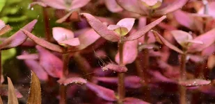 1762206946161.webp 1762206946161.webp