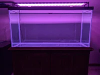 90G Full View.webp 90G Full View.webp