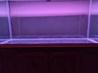 90G Closeup.webp 90G Closeup.webp