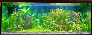 IMG_6825.webp IMG_6825.webp