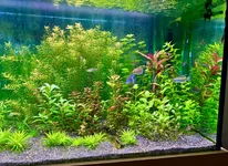 IMG_6826.webp IMG_6826.webp