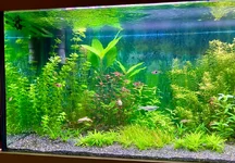 IMG_6827.webp IMG_6827.webp