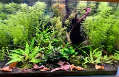 IMG_6823.webp IMG_6823.webp