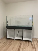 IMG_0133.webp IMG_0133.webp