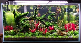 WB 3620 11_15_25.webp WB 3620 11_15_25.webp