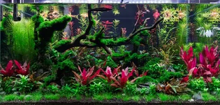 WB 3620 11_23_25.webp WB 3620 11_23_25.webp