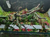 3620 Water Change.webp