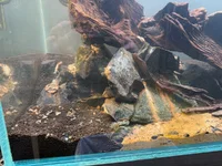 IMG_7857.webp IMG_7857.webp